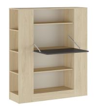 Estantería con Escritorio, Mesa de Ordenador, Acabado en Cambrian y Grafito, Medidas: 119,6 cm (Largo) x 139,6 cm (Alto) x 34